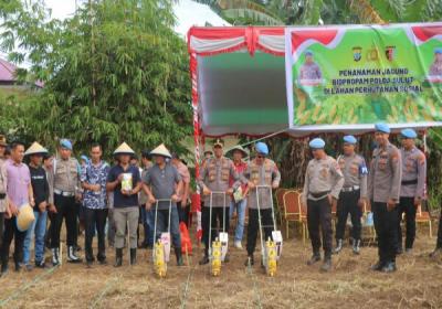 Propam Polda Sulut Gelar Tanam Jagung di Lahan Perhutanan Sosial Desa Airmadidi